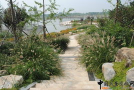 北京2010園林綠化優質工程現場評審本周開始