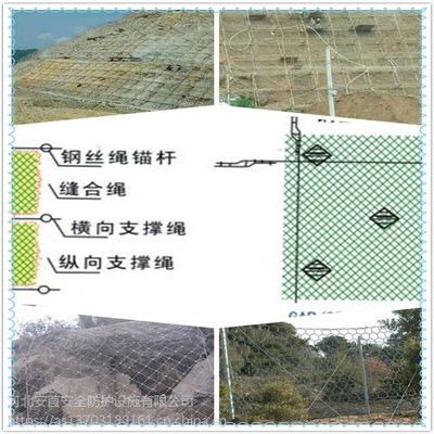 安首綠化坡面用邊坡防護網(wǎng)植物能夠自由生長