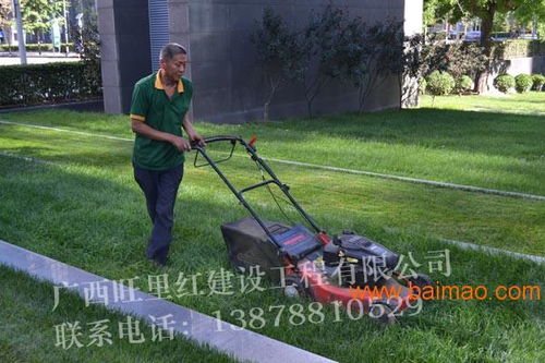 園林綠化工程包您滿意 綠化養護工程方案,園林綠化工程包您滿意 綠化養護工程方案生產廠家,園林綠化工程包您滿意 綠化養護工程方案價格