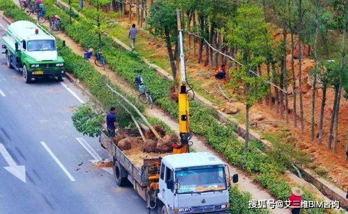 解讀園林綠化施工全過程,教你如何成為綠化行業大佬