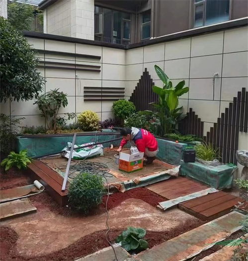 栽花養草成時尚潮流 家庭園藝市場升溫