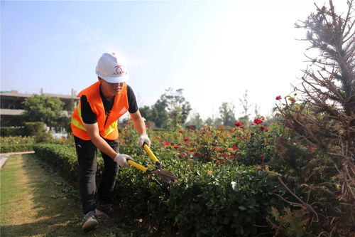 盛夏果實,不負(fù)光陰 人文園林綠化施工實操技能培訓(xùn)圓滿完成