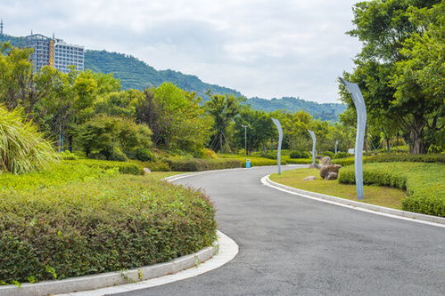 稻谷素材,農(nóng)作物,植物花草,攝影素材,匯圖網(wǎng)