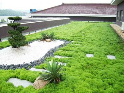 菏澤市綠化工程公司優(yōu)秀企業(yè)推薦
