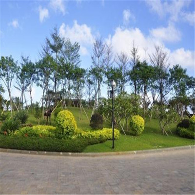 東城園林景觀綠化施工隊(duì)
