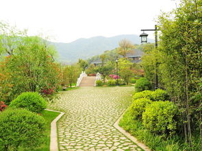 公路邊綠化