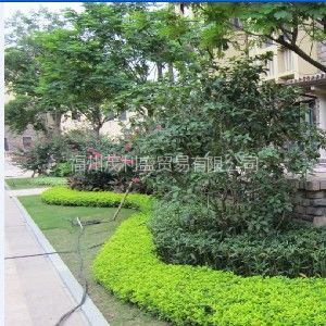 【供應(yīng)福州園林綠化 福州綠化設(shè)計 福州園林綠化工程施工圖片】供應(yīng)福州園林綠化 福州綠化設(shè)計 福州園林綠化工程施工圖片大全