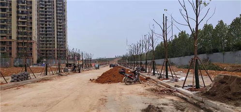 武漢雅珍園林綠化工程 多圖 庭院綠化工程施工