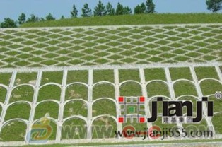 園林綠化承接園林綠化施工承接園林綠化施工廠家