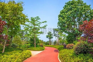 占地7100平方米 石家莊這座新公園即將開放 看看在你家附近么