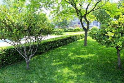 黃陂園林綠化工程|*園林綠化工程|龍勝物業(*商家)