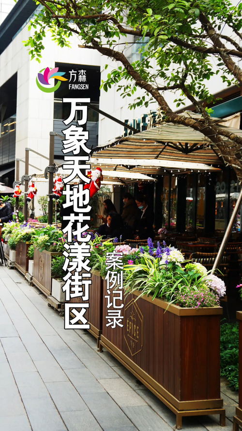 深圳南山萬象天地花漾街區 案例記錄 園林綠化 園林設計施工 廣東花境設計 花箱 生活處處是風景