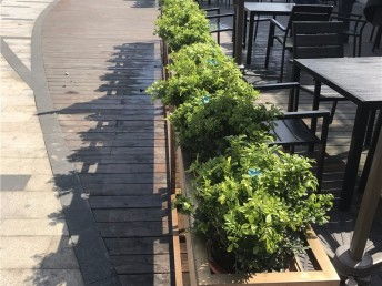 圖 別墅庭院花園設(shè)計施工 園林園藝設(shè)計綠化工程養(yǎng)護 上海鮮花綠植
