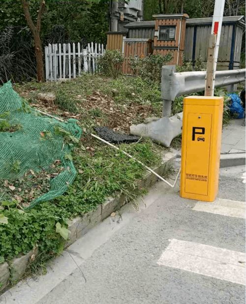 整改復(fù)綠,精益求精