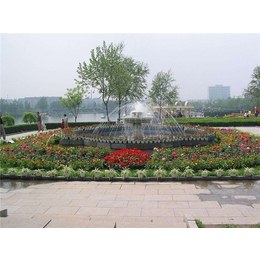 園林工程_清和園林*施工_學(xué)校園林工程