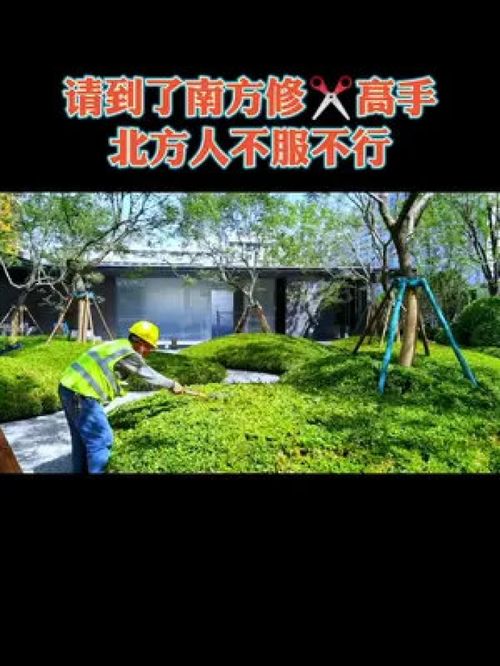天津的園林施工水平還有很大提升空間,尤其是市政綠化,房地產(chǎn)近幾年已經(jīng)在南方工人的帶動下有了一些進步,還需要繼續(xù)學(xué)習(xí) 園林綠化