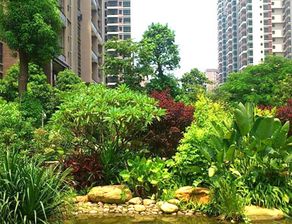 大業(yè)園林告訴你什么叫園林綠化