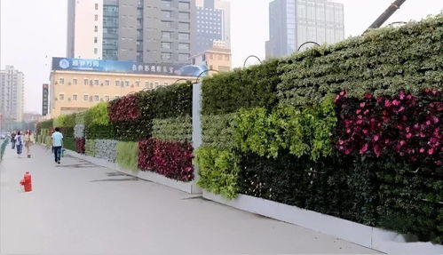 園林工程中的6種垂直綠化形式