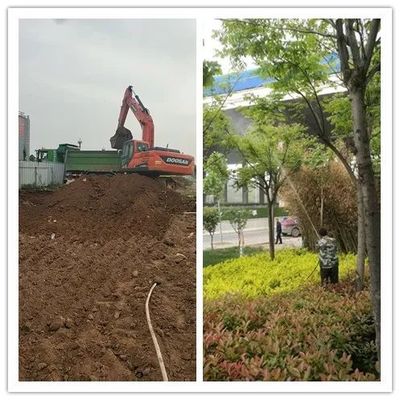 河南省綠洲園林向所有勞動者致敬!