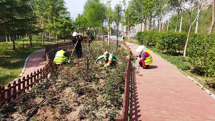 蘭州市南北兩山環境綠化工程指揮部 圖片新聞 蘭州樹木園游園綠地管護項目開展日常管護工作