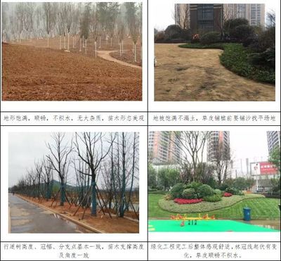 如何打造項目示范段?看看中建五局投資公司怎么做的