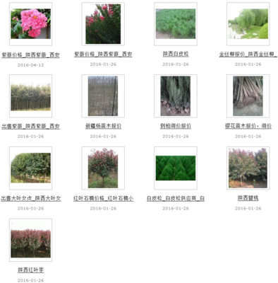 西安漢客市政園林景觀工程