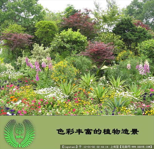 植物配置圖的圖片瀏覽,園林節點照片,綠化,園林景觀設計施工圖紙資料下載