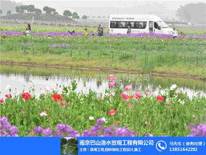 南京巴山洛水 圖 生態布局指導 南京生態園