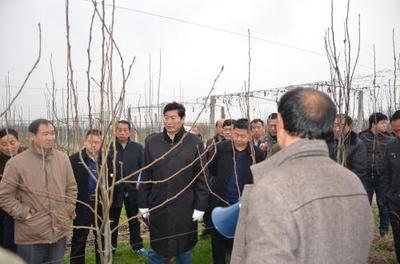 專家圈點國內花卉業急需的十大關鍵技術