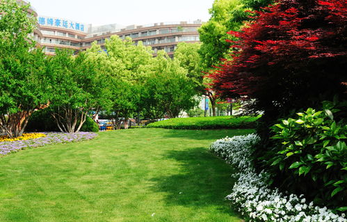公司參與 園林工程安全文明施工管理規范 起草
