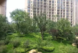 這些園林綠化工程施工技術(shù)規(guī)范,值得你花時(shí)間學(xué)習(xí)一下