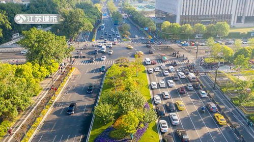 江蘇電視臺(tái)江蘇直通車報(bào)道 南京玄武園林綠化工程有限責(zé)任公司