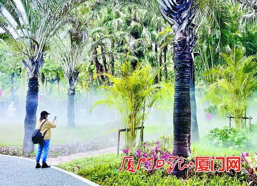 中山公園綠化景觀改造提升完工在即 亮點(diǎn)多多值得期待