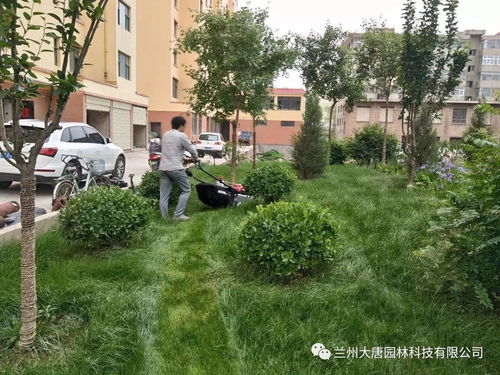 臨洮怡康苑住宅小區(qū)園林景觀綠化工程
