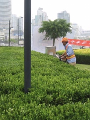 齊河縣招聘省道施工地表普工