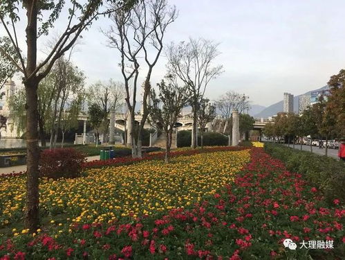 加強園林綠化建設管理 著力提升城市 高顏值