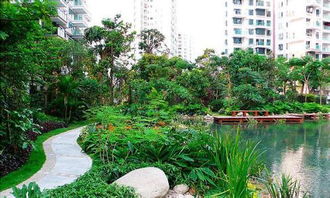 29深圳園林公司的園林綠化理念有哪些 ,29深圳園林公司的園林綠化理念有哪些 生產廠家,29深圳園林公司的園林綠化理念有哪些 價格