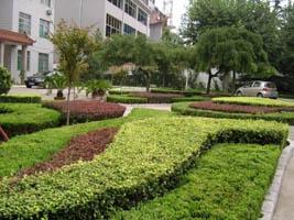 濰坊麗景園林景觀設(shè)計(jì) 2009年園林綠化工程 園林