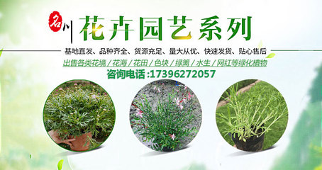 園林綠化工程施工-樹木花卉批發(fā)-花境植物報(bào)價(jià)-名川園藝場(chǎng)_