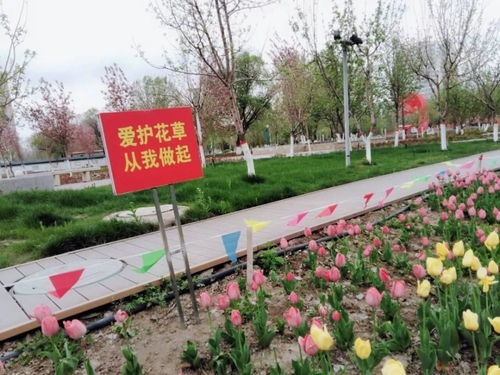 多措并舉推進 護花 管理