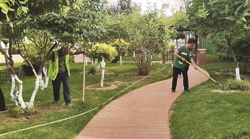 加強園林綠化管護 提升城市綠色品質