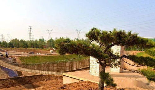 橫空出世的 生態園林式 工廠 裕華鋼鐵綠色景觀提升篇