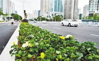 廣西第一路 你一定沒見過這樣的民族大道
