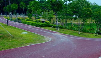 加強(qiáng)園林綠化工程建設(shè) 提升城市園林綠化水平