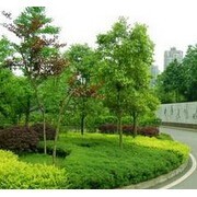 重慶市飛揚景觀園林設計建設