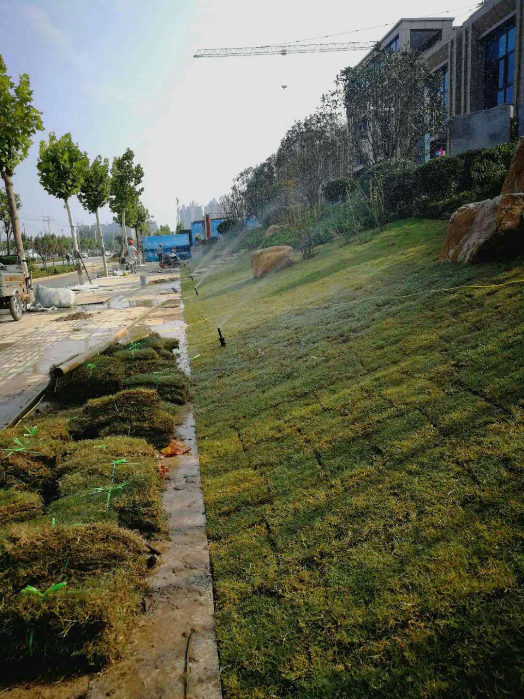 草坪噴灌系統/園林綠化噴灌機