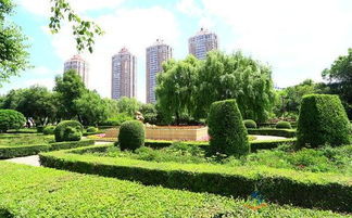 園林綠化施工的五大注意事項,知識要點