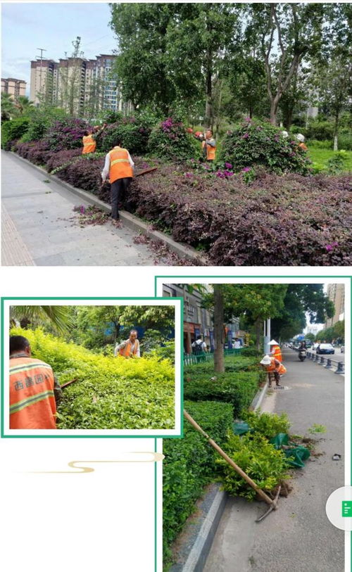 西昌 創文進行時 園林綠化來助力