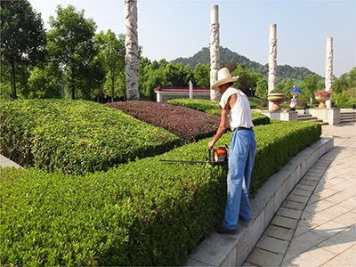 苗木綠化工程黃頁 公司名錄 苗木綠化工程供應商 制造商 生產廠家 八方資源網