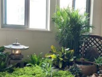 圖 花園設計施工 屋頂花園 綠化養護 草坪 日式園林 上海鮮花綠植